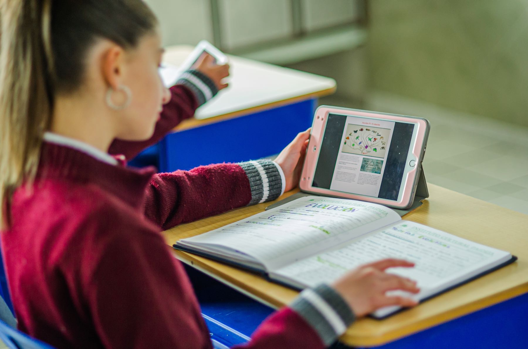 Paideia ® Secundaria